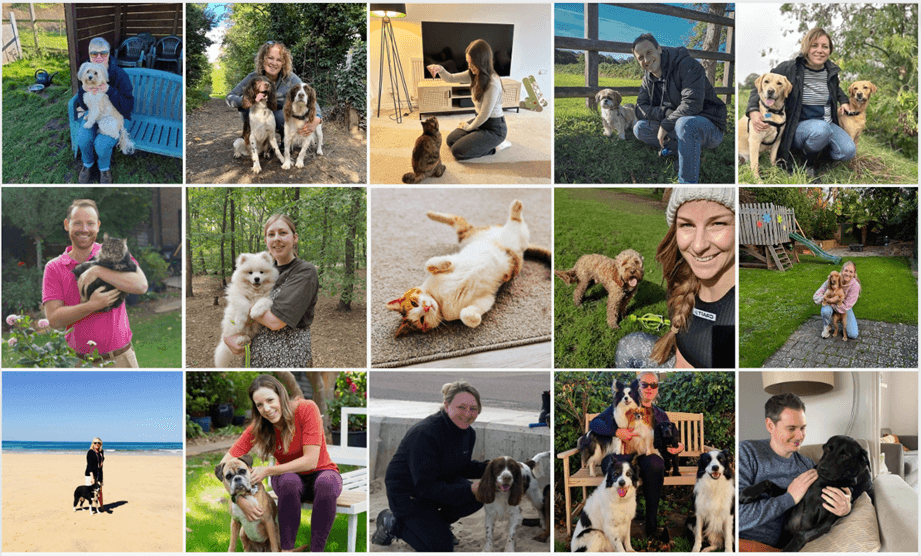 The Global Pet Relocation team with their pets.