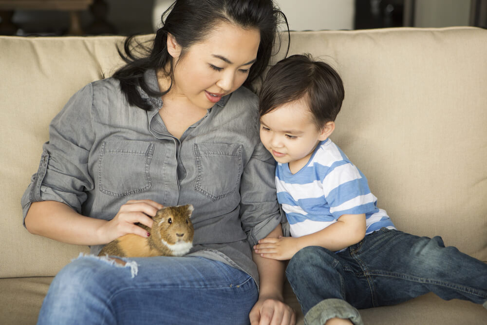Mum and son with pet guinea pig
