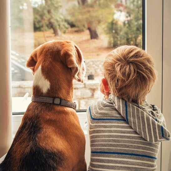 Boy and dog looking out of window