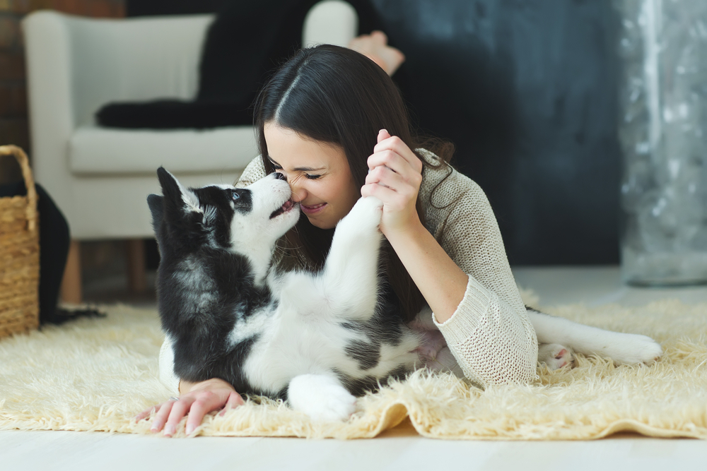 Woman and pet dog cuddling